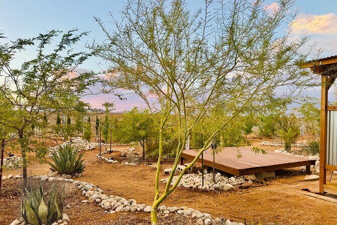 Soul Reconnection Retreat in Joshua Tree - Final Thoughts