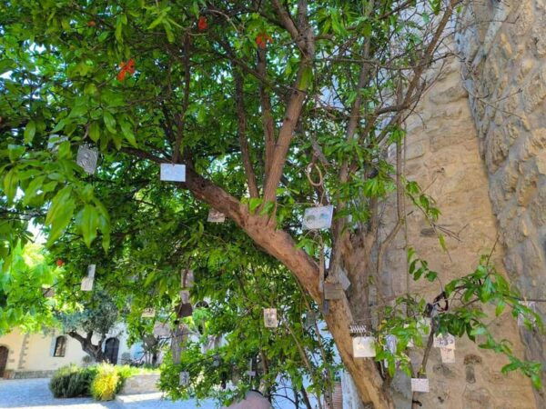 Soulouksina Cultural E-Bike Experience in Crete - Booking Information