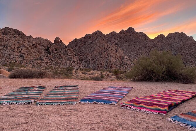 Soundbath Under The Stars-Joshua Tree - Who Will Love This Tour?