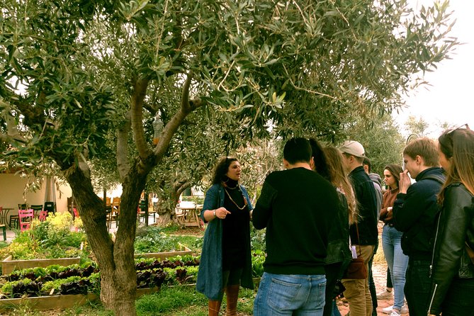 Sounion Highlights Tour With Pickup and Dropoff and Lunch - Athens - Traveler Reviews