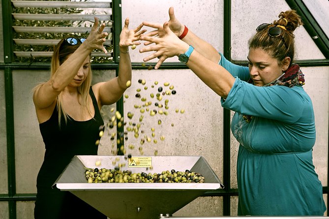 Sounion Highlights Tour With Pickup and Dropoff and Lunch - Athens - Booking and Pricing