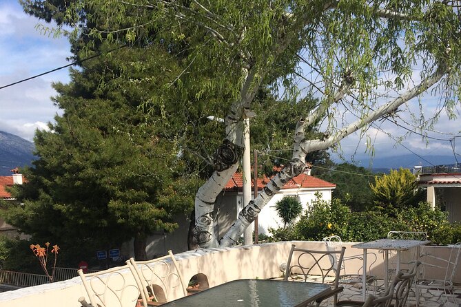 Sounion Sunset and Evening Wine Tasting Alfresco - Alfresco Dining Experience