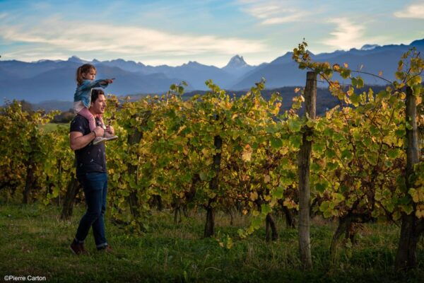 Soupçons En Jurançon - Vineyard Landscapes and Scenery