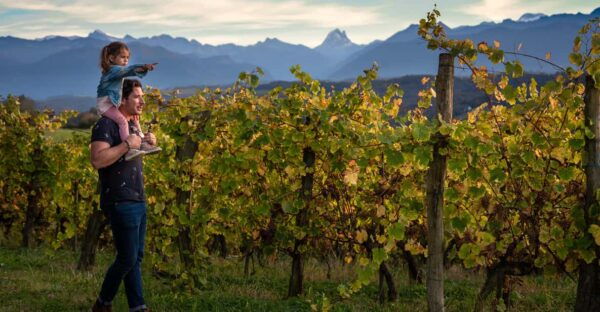 Soupçons En Jurançon - Cancellation Policy and Terms