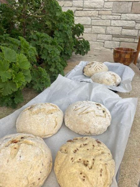 Sourdough Bread Baking Class - Olive Oil Tasting - Instructor and Reservation