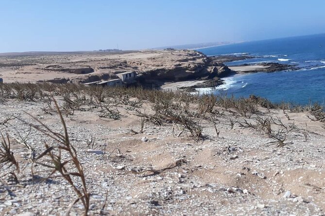 Sous Massa Full-Day Tour From Agadir With Lunch - Itinerary