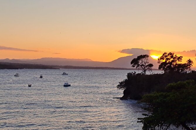 Sousa Beach: Small-Group Stand Up Paddleboard Tour (Feb ) - Reviews and Ratings Overview