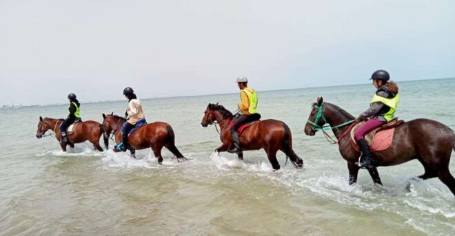 Sousse/Monastir: Private Horseback Riding Trip With Transfer - Review Summary