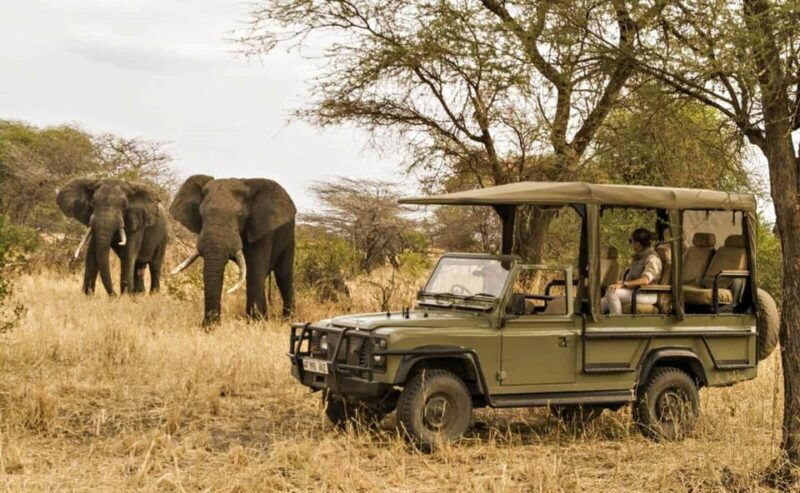 South Africa: 12-Day Cape Town to Johannesburg Tour - An In-Depth Look at the 12-Day Itinerary