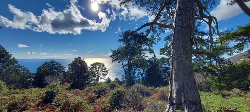 South Albania: 8-Day 360 Adventure Tour with Local Guide - Why This Tour Represents Great Value