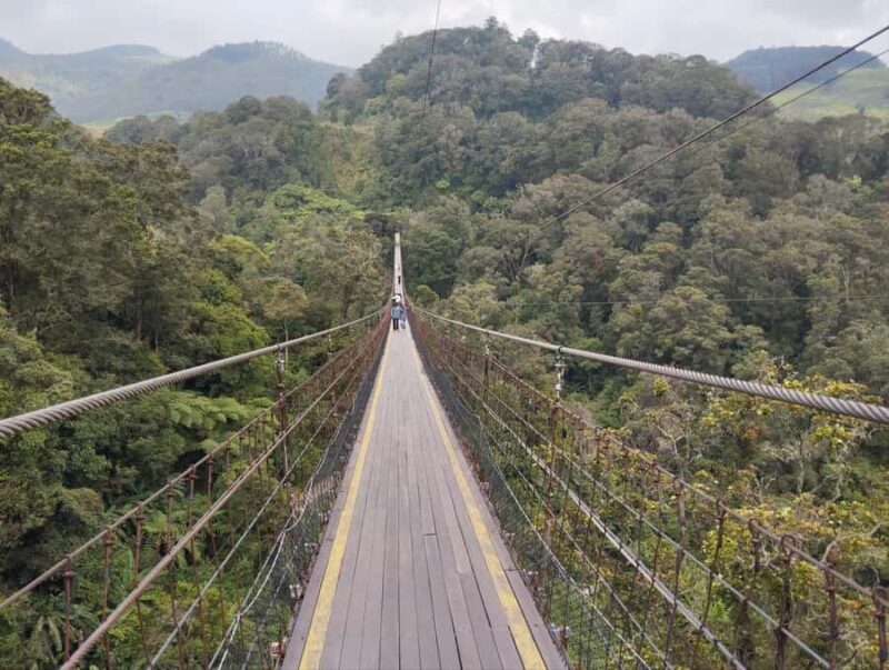 SOUTH BANDUNG CUSTOMIZED TOUR : CIWIDEY/PENGALENGAN - Good To Know