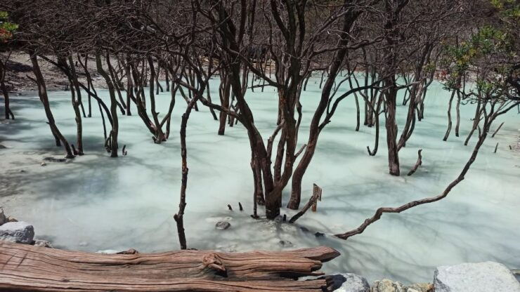 South Bandung: Volcano, Hot Spring, Mud Bathing & Lake Tour - Exploring Kawah Putih Crater