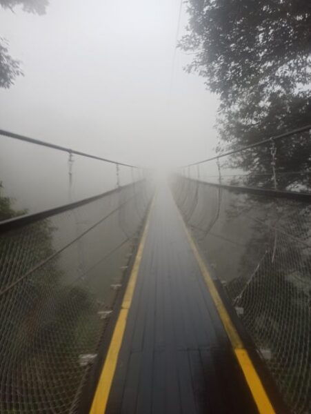 South Bandung: Volcano, Hot Spring, Mud Bathing & Lake Tour - The Sum Up
