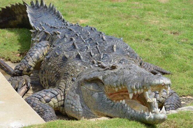 South Coast Cultural Tour History and Nature - FAQ