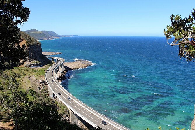 South Coast Day Tour, Blowholes, Lookouts, Bridge and Rainforest - Crossing the Bridge