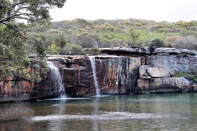 South Coast Day Tour, Blowholes, Lookouts, Bridge and Rainforest - Tour Itinerary and Timeframes