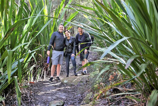 South Coast Day Tour, Blowholes, Lookouts, Bridge and Rainforest - The Sum Up