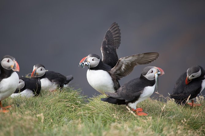 South Coast / Guided Private Tour - Cancellation Policy and Refunds