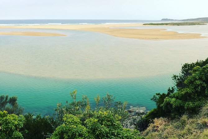 South Coast Nature Tour - The Sum Up