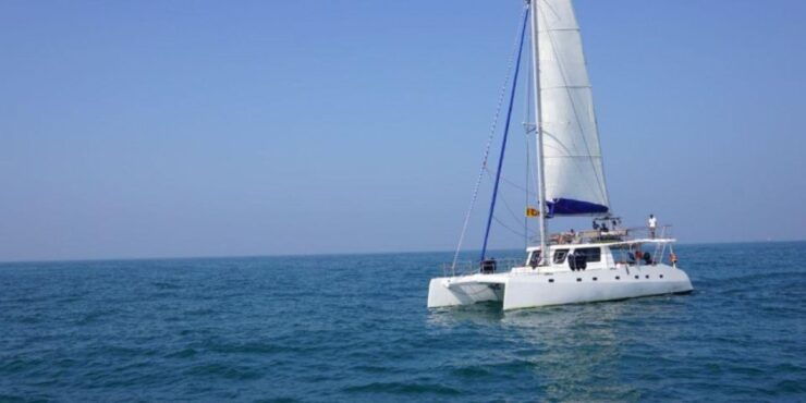 South Coast Overnight Cruise: All-Inclusive Tour! - Experience Highlights
