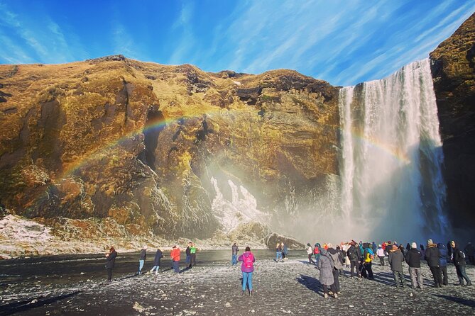 South Coast Premium Private Tour - Expert Guides