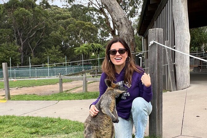 South Coast Private Daily Group Tour - Pick up & Drop off - Good To Know