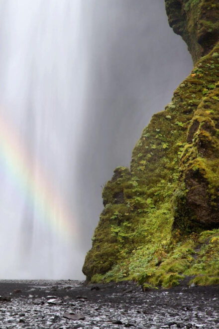 South Coast Private Guided Day Tour 8+ Attractions - Transportation and Accessibility