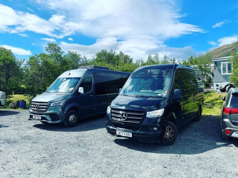 South Coast Private Luxury Tour - Visiting Dyrhólaey and Puffin Watching