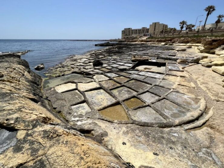 South Coast Private Nature Walking Tour With Transport - Booking Information