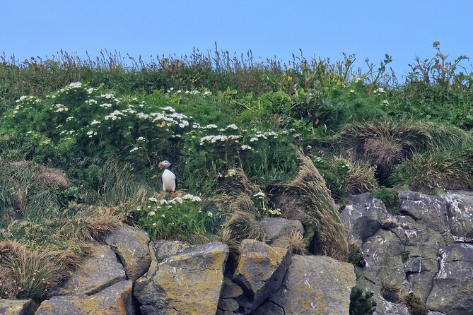 South Coast Private Tour Iceland - Common Questions