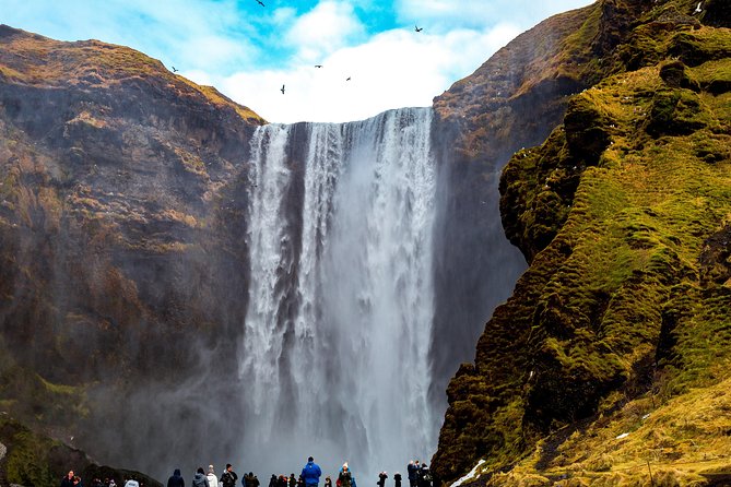 South Coast, Reynisfjara Beach & Waterfalls Small-Group Day Trip From Reykjavik - Positive Experiences and Highlights