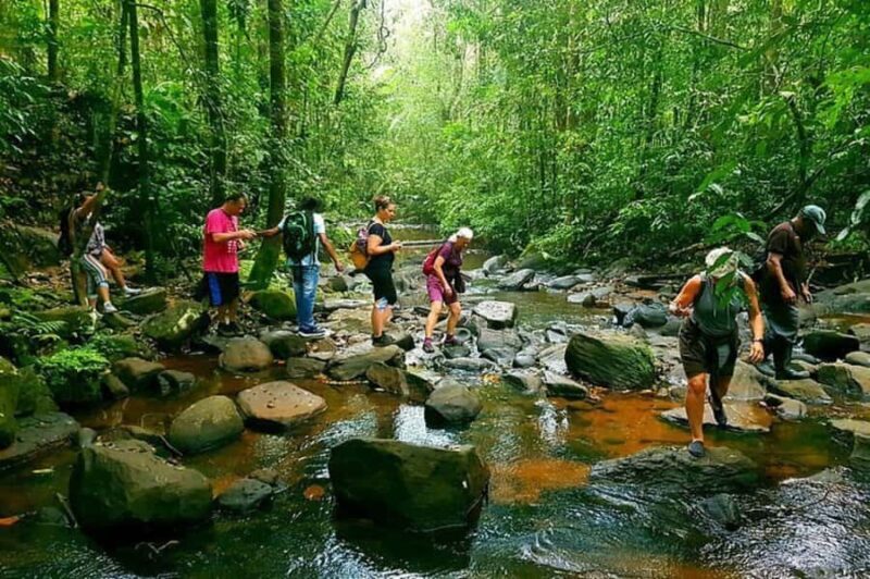 South Coast: Sinharaja Rainforest Walk and Waterfall - Good To Know