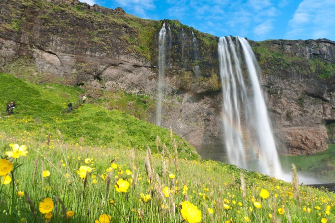 South Coast Tales! - Small Group Adventure From Reykjavik - Guide Appreciation