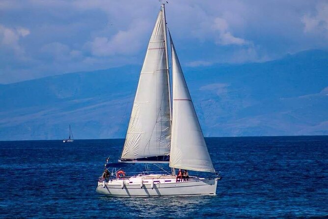 South Coast Tenerife Cruise - Boat Adventure off Tenerifes Coast