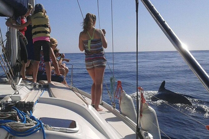 South Coast Tenerife Cruise - Swim, Snorkel, and Observe Marine Life