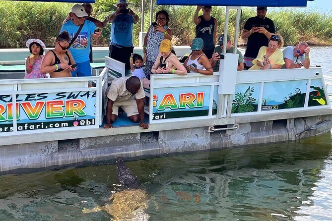 South Coast Tour to YS Falls, Black River Safari and Appleton Rum - The Itinerary Breakdown: What to Expect