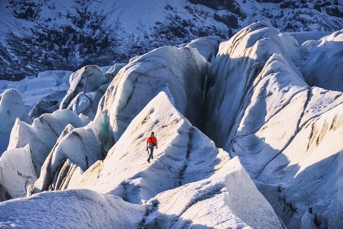 South Coast Tour With Glacier Walk & Dinner at the Viking House - Booking and Flexibility