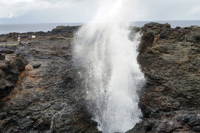 South Coast, Waterfals, Tempels, Kiama Blowhole Private Tour - FAQs