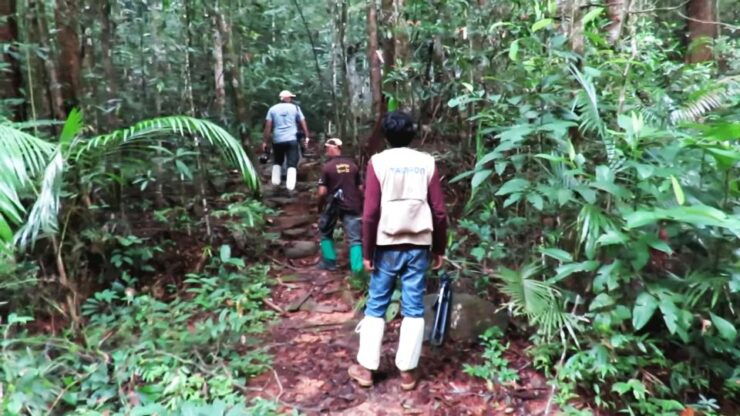 South Coast Wild Wonders Sinharaja, Yala, River Safari,Galle - Tour Highlights