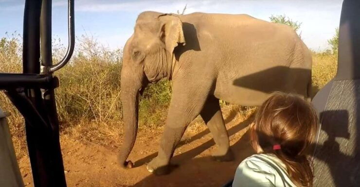 South Coast Wild Wonders Sinharaja, Yala, River Safari,Galle - Booking Details