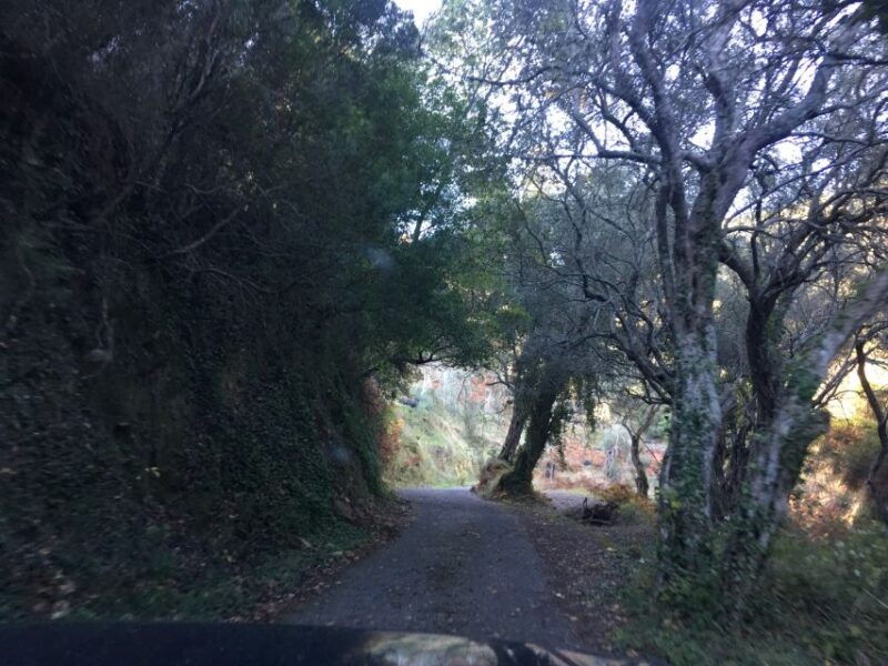 South Corfu Premium 4x4: Villages, Views & Flavours - Exploring Southern Corfu in Style and Comfort