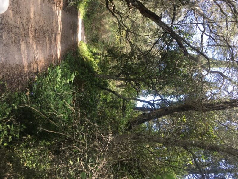 South Corfu Premium 4x4: Villages, Views & Flavours - Who Would Love this Tour?