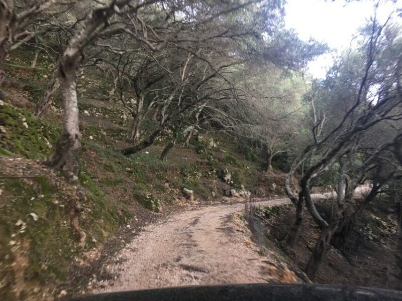 South Corfu Premium 4x4: Villages, Views & Flavours - The Sum Up