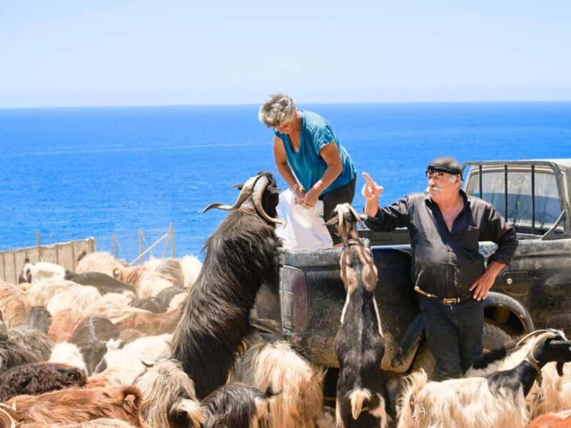 South Crete The Best Jeep Safari - Who Will Love This Tour?