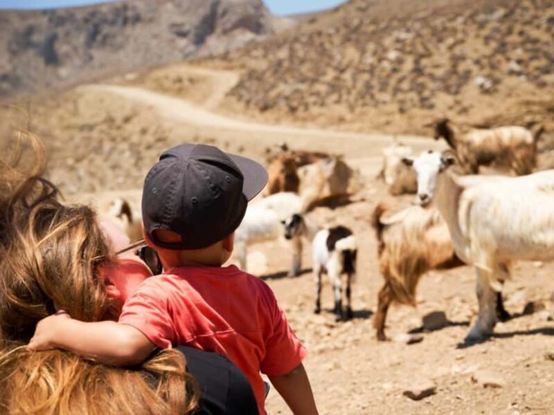 South Crete The Best Jeep Safari - FAQ