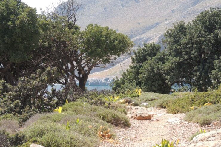 South Eastern Crete & Sarakinas Gorge Day Tour - Tour Activity Details