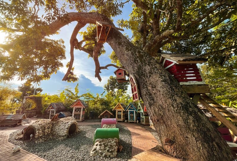 South Farm Panglao Day Use - Horseback and carabao rides add variety