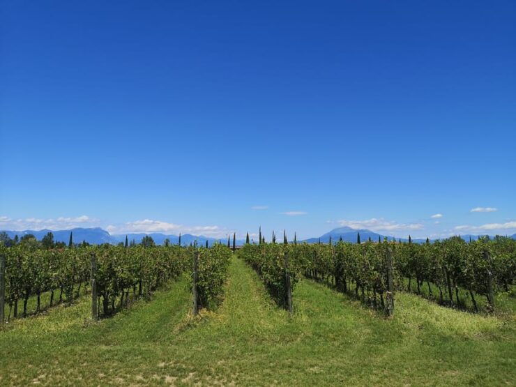 South Garda Easy Sunset E-Bike & Wine Tour - Good To Know