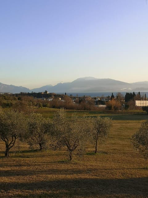 South Garda Easy Sunset E-Bike & Wine Tour - Experience Highlights