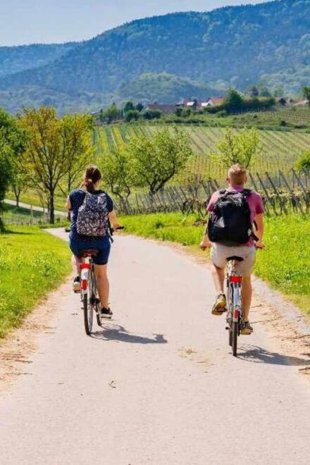 South Garda Easy Sunset E-Bike & Wine Tour - Inclusions and Amenities